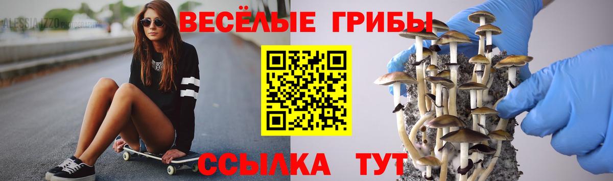 Псилоцибиновые грибы прущие грибы  Вход с VPN  Самара 